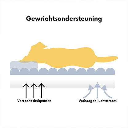 Groot wasbaar en zacht orthopedisch kussen voor hond Hondenbank-Snoozy Dream