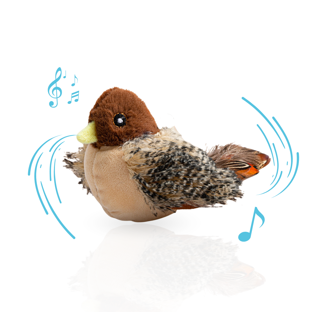 Jouet interactif pour chat en mouvement & jouet qui pépie, rechargeable par USB